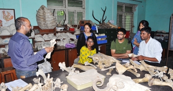 Archaeozoology Laboratory